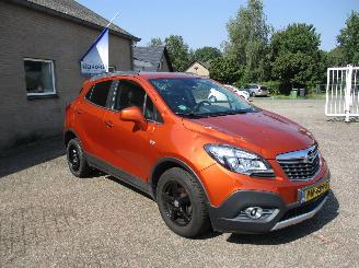 dommages voiturettes Opel Mokka 1.4 T Cosmo 4x4 REST BPM 1000 EURO !!! 2014/5