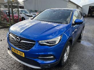 damaged passenger cars Opel Grandland X 1.2 Turbo  Business Executive 2020/1
