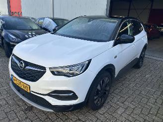 dommages fourgonnettes/vécules utilitaires Opel Grandland X  1.2 Turbo Business Executive 2020/3