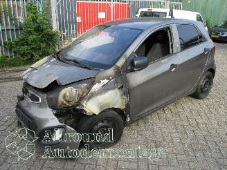 uszkodzony samochody ciężarowe Kia Picanto Picanto (TA) Hatchback 1.0 12V (G3LA) [51kW]  (05-2011/06-2017) 2012